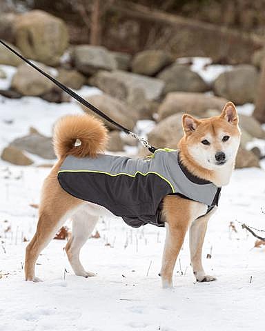 DOG GONE SMART Нано плащ-дождевик 