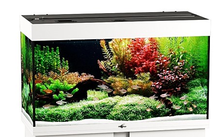BioDesign Аквариум РИФ-160,белый 160л + светильник