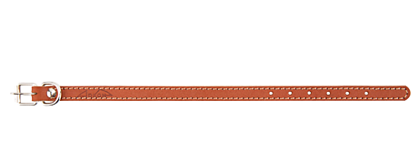 Аркон Ошейник кожаный для собак 