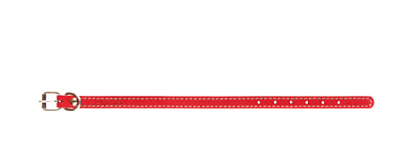 Аркон Ошейник кожаный для собак 