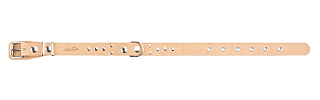 Аркон Ошейник кожаный для собак 