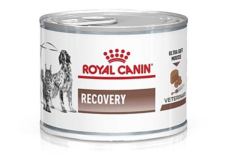 Royal Canin Recovery консервы для собак и кошек в период анорексии и выздоровления 195г