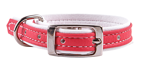 Аркон Ошейник 