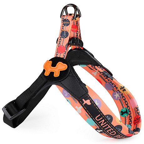 United Pets Шлейка для собак Complete me Forever 1,5x34-42см, оранжевая с рисунком