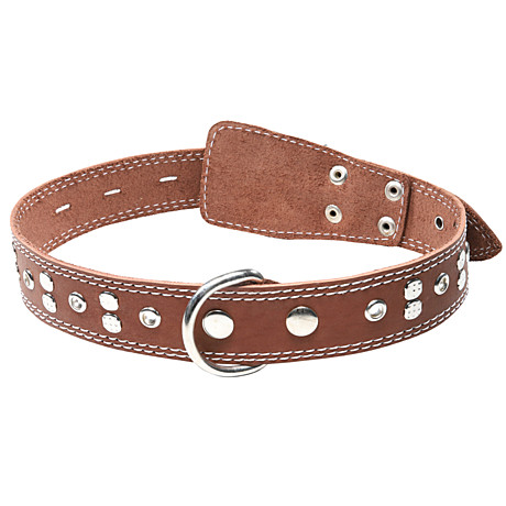 Gamma Ошейник кожаный с украшениями, 36мм*720мм