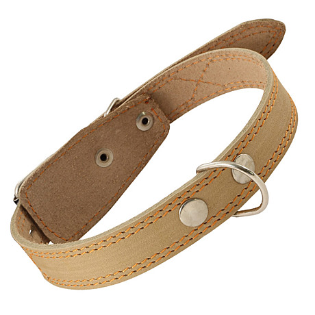 Gamma Ошейник кожаный с кольцом, 25мм*580мм