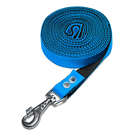 Gamma Поводок капроновый для собак, 25*2000мм