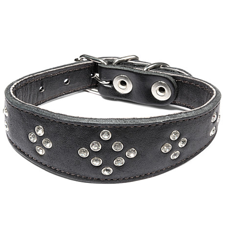 Gamma Ошейник кожаный двойной селедка 