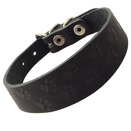 Gamma Ошейник-мини кожаный 