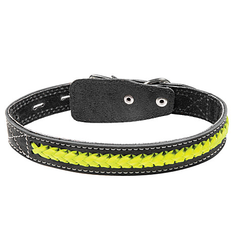 Gamma Ошейник кожаный 