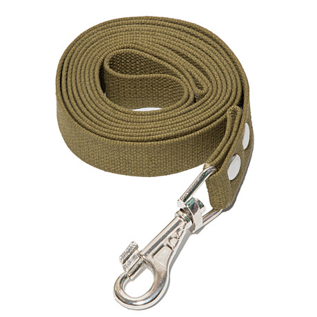 Gamma поводок брезентовый для собак 20*5000мм