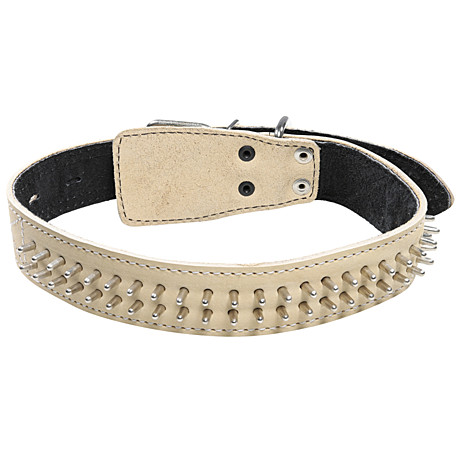 Gamma Ошейник кожаный 