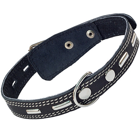 Gamma Ошейник кожаный двойной с украшением, 25мм*580мм