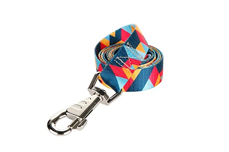 DOG&VOGUE SHAPE Поводок капроновый 25мм, цветной 150см