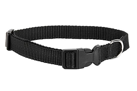 DOG&VOGUE Ошейник для собак капроновый 20мм, черный 33-50см