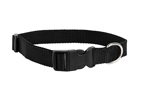 DOG&VOGUE Ошейник для собак капроновый 25мм, черный 40-60см