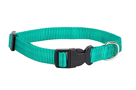 DOG&VOGUE Ошейник для собак капроновый 20мм, зеленый 33-50см