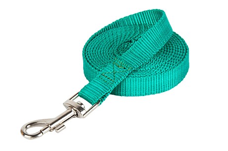 DOG&VOGUE Поводок капроновый 20мм ,зеленый 3м