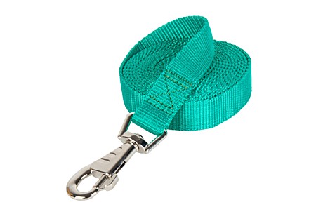 DOG&VOGUE Поводок капроновый 25мм, зеленый 3м