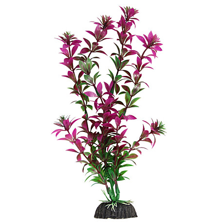 Laguna Искусственное растение 