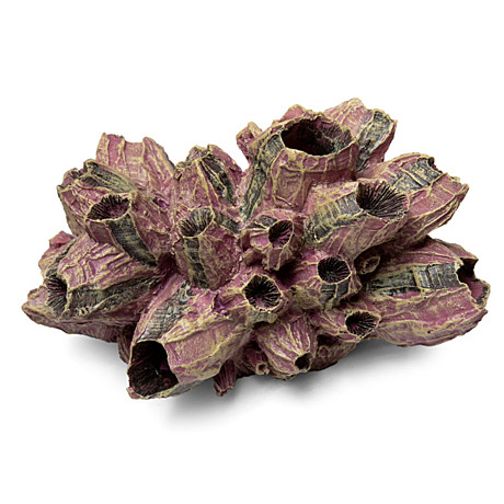 Laguna Коралл искусственный 