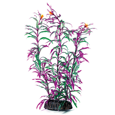 Laguna Искусственное растение 