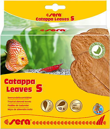 Sera Листья индийского миндаля Catappa Leaves S 14см (10шт)