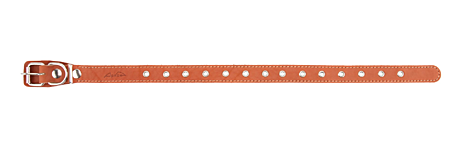 Аркон Ошейник кожаный для собак 