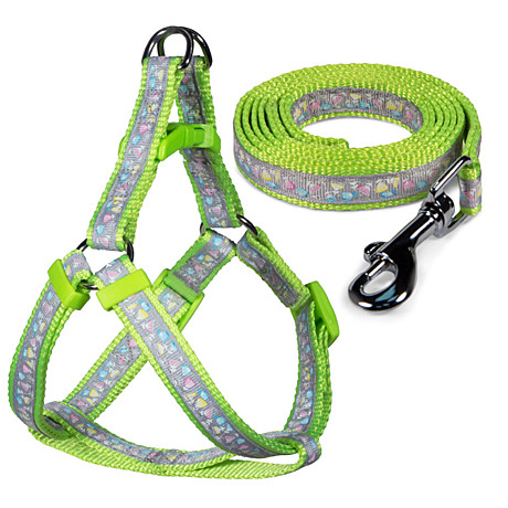 Triol Комплект шлейка и поводок нейлоновый 