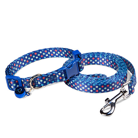Triol Комплект ошейник и поводок нейлоновый 
