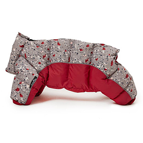 Lion Animal Зимний комбинезон для собак унисекс Размер L