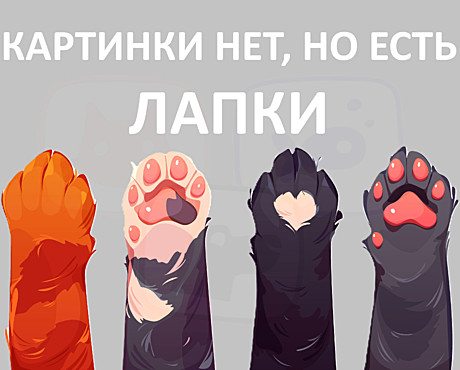 Аркон Ошейник кожаный для собак 