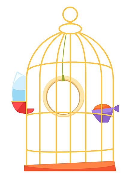 Содержание и уход