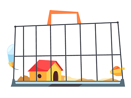 Содержание и уход