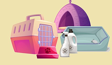 Содержание и уход