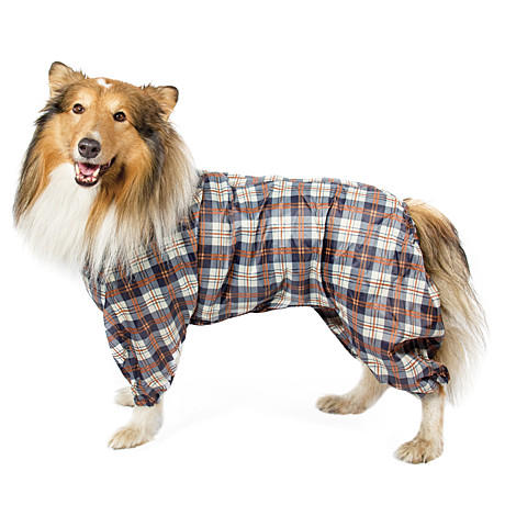 Gamma Комбинезон демисезонный 