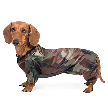 Gamma Комбинезон демисезонный 