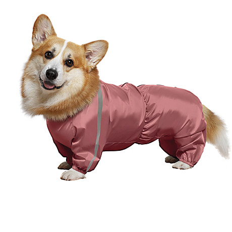 Gamma Комбинезон зимний 