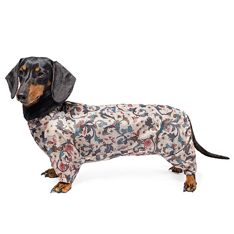 Gamma Комбинезон демисезонный 