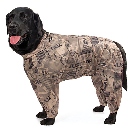 Gamma Комбинезон демисезонный 