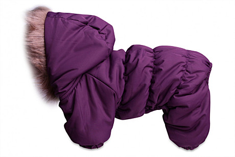 Lion Winter Комбинезон для собак унисекс Размер M