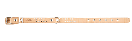 Аркон Ошейник кожаный для собак 