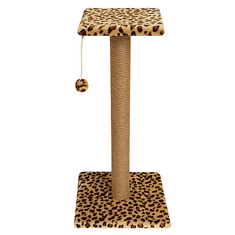 Gamma Когтеточка 