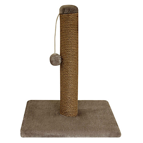 Gamma Когтеточка 