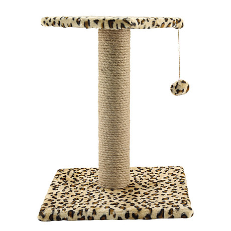 Gamma Когтеточка 